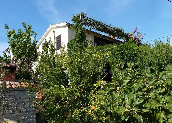 Apartment Zeljko