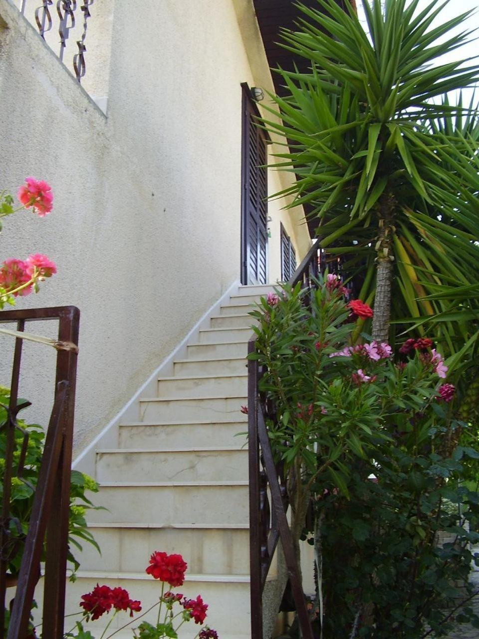 Zeljko Appartement Maslinica