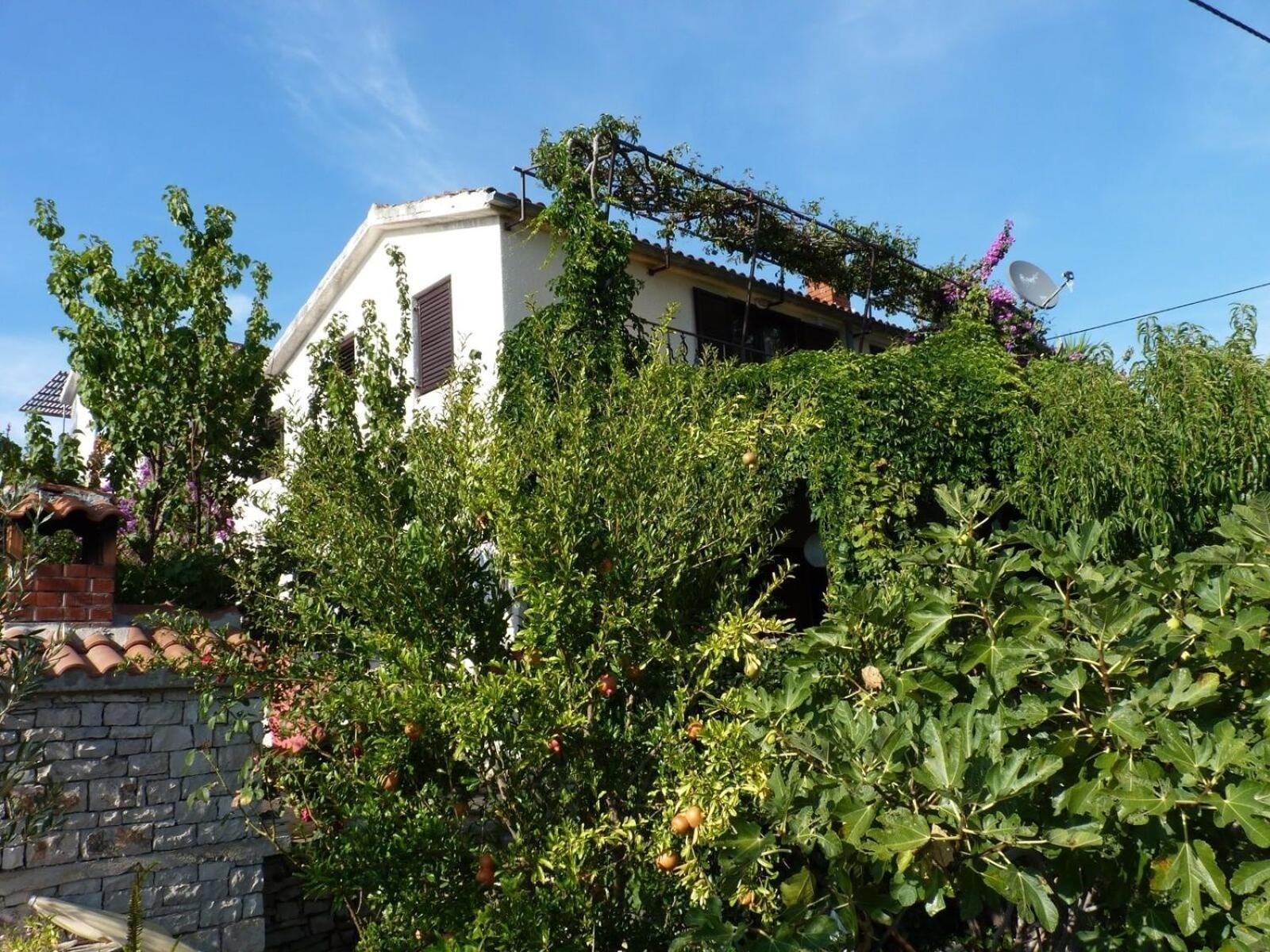Apartment Zeljko Maslinica